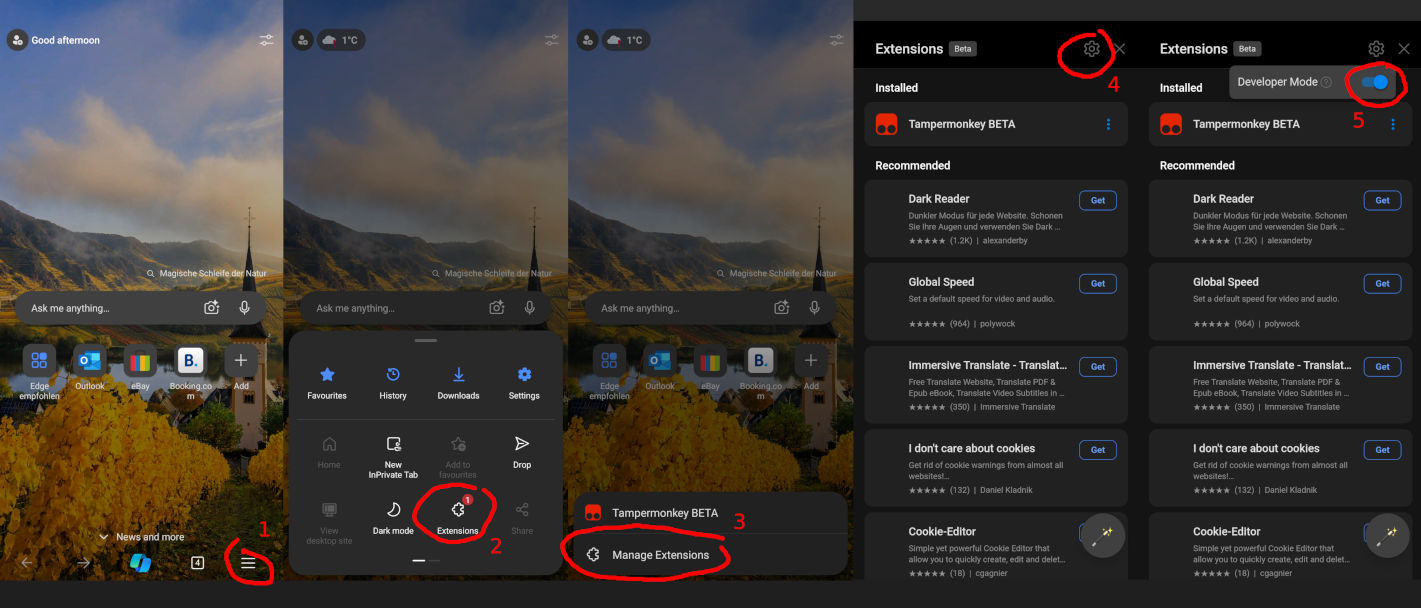 Enable Developer Mode in Edge for Android